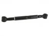 Control Arm:RGD 000060